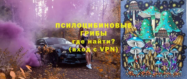 2c-b Белокуриха