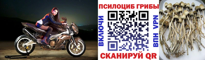 Галлюциногенные грибы ЛСД  наркота  Курлово 